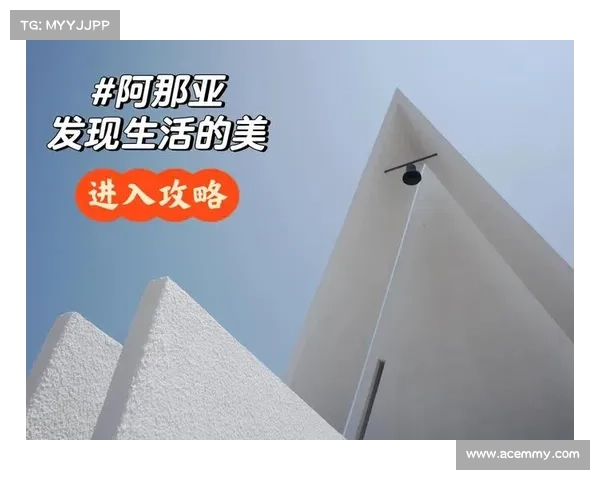 最佳免费与付费串流服务 最佳免费与付费串流服务