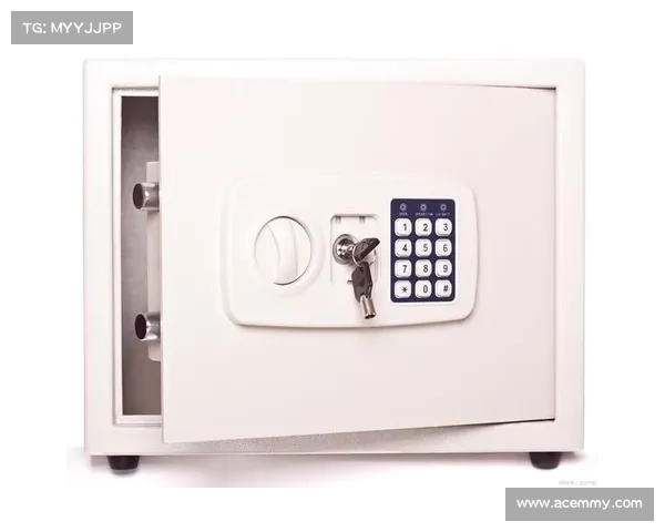 高安全性电子保险箱可能通过电源和时间分析被黑客攻击 在线