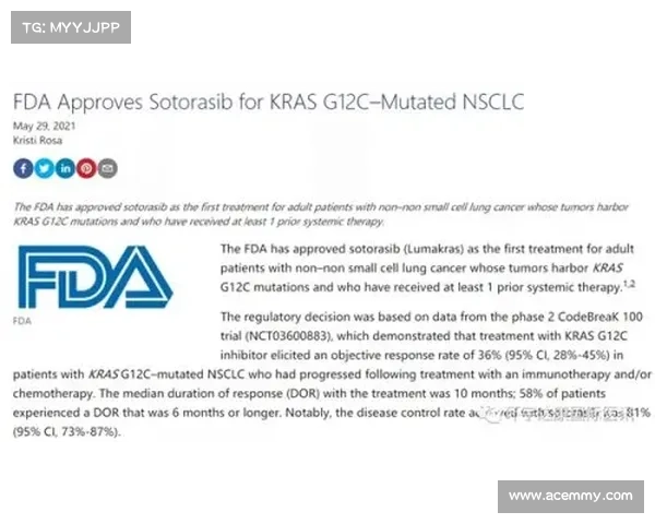 严重的 Roundcube 和 RaspAP 漏洞被审查 媒体