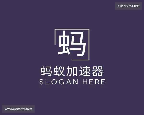 了解蚂蚁加速器